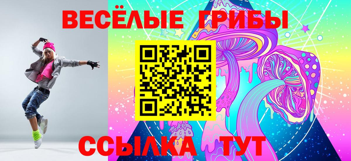 Псилоцибиновые грибы Psilocybine cubensis Северск