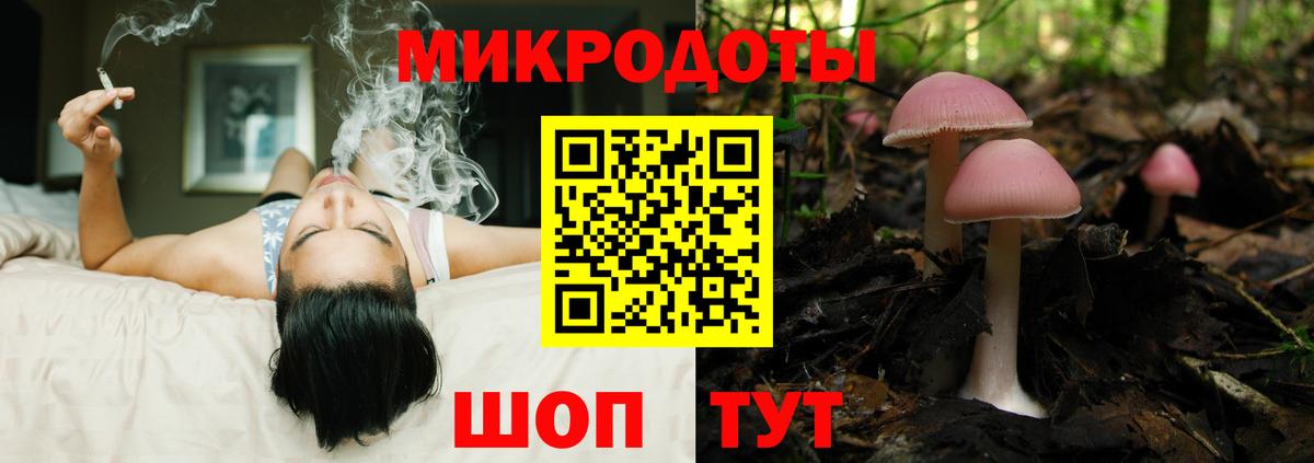 Галлюциногенные грибы Psilocybine cubensis  Псилоцибиновые грибы Psilocybine cubensis  Вход с VPN  Северск 