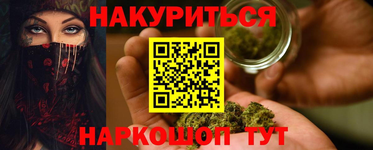 Бошки Шишки план Северск